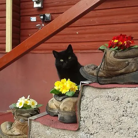 Reinsberger Dorf 公寓 *