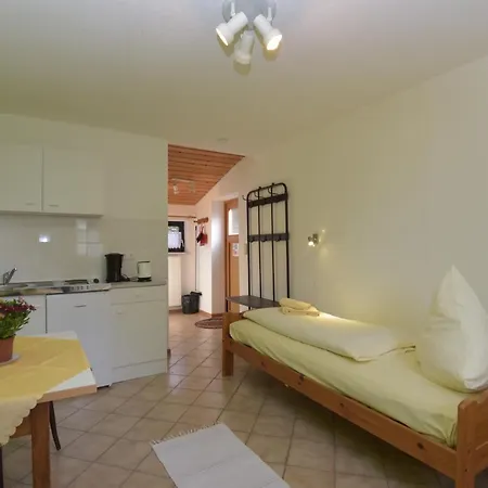 Reinsberger Dorf Plaue (Thuringia)