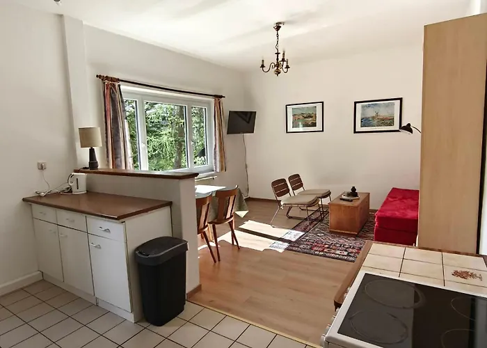 Reinsberger Dorf * Plaue (Thuringia)