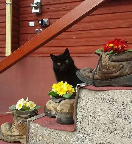 Reinsberger Dorf Apartman *