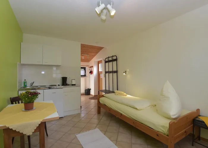 Reinsberger Dorf Plaue (Thuringia)