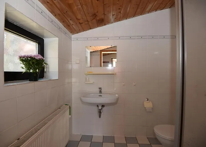 Reinsberger Dorf * Plaue (Thuringia)